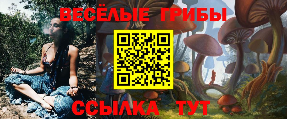 Псилоцибиновые грибы ЛСД Печора